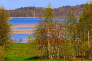 Pavasaris ar lielu spēku ienāk Latgales dabā 1