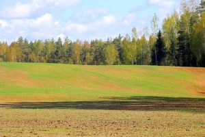 Pavasaris ar lielu spēku ienāk Latgales dabā 9