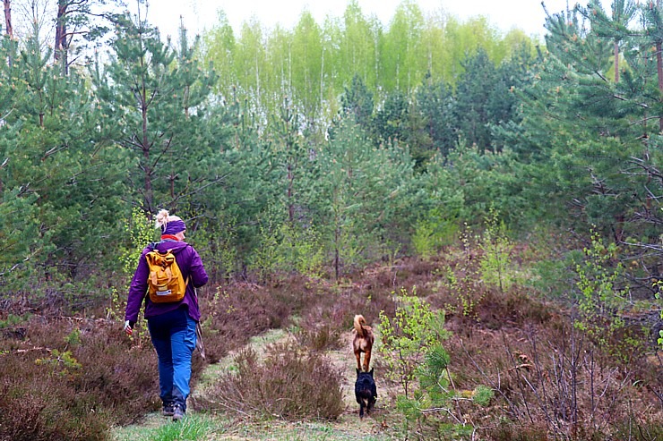 Travelnews.lv ar Latgales krančiem dodas Vecslabadas 33 km pārgājienā Ludzas novadā 335778