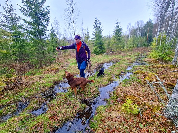 Travelnews.lv ar Latgales krančiem dodas Vecslabadas 33 km pārgājienā Ludzas novadā 335783