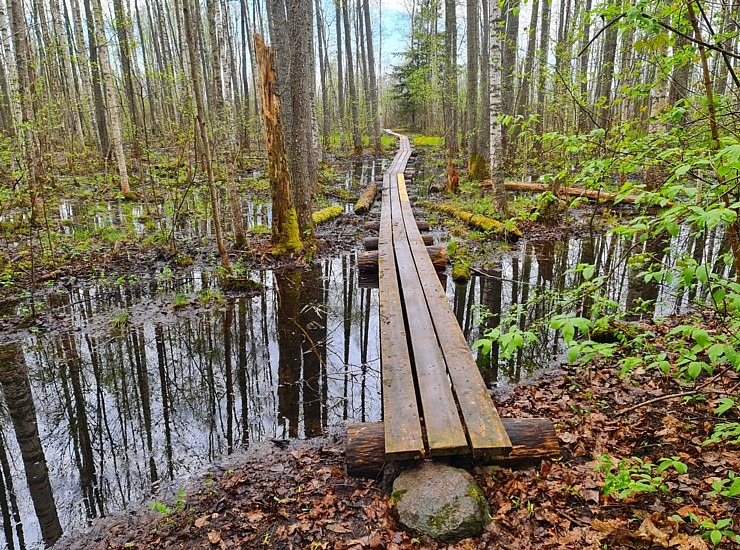 Travelnews.lv ar Latgales krančiem dodas Vecslabadas 33 km pārgājienā Ludzas novadā 335789
