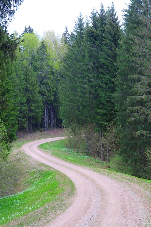 Travelnews.lv ar Latgales krančiem dodas Vecslabadas 33 km pārgājienā Ludzas novadā 335799