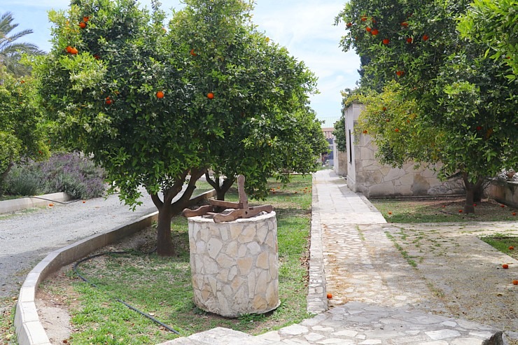 Larnaka apkaimē zemnieki aicina ģimenes ar bērniem ciemos, lai atpūstos, skatītu un baudītu 335848