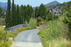 Larnaka apkaimē zemnieki aicina ģimenes ar bērniem ciemos, lai atpūstos, skatītu un baudītu 5