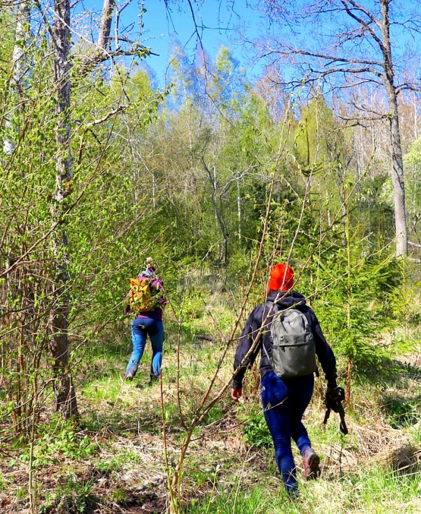 Travelnews.lv dodas Elejas 22 km pārgājienā Jelgavas novadā 336055