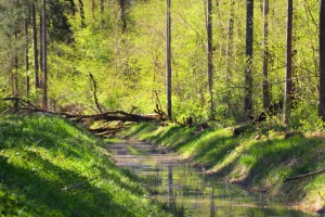 Travelnews.lv dodas Elejas 22 km pārgājienā Jelgavas novadā 11