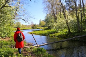 Travelnews.lv dodas Elejas 22 km pārgājienā Jelgavas novadā 2