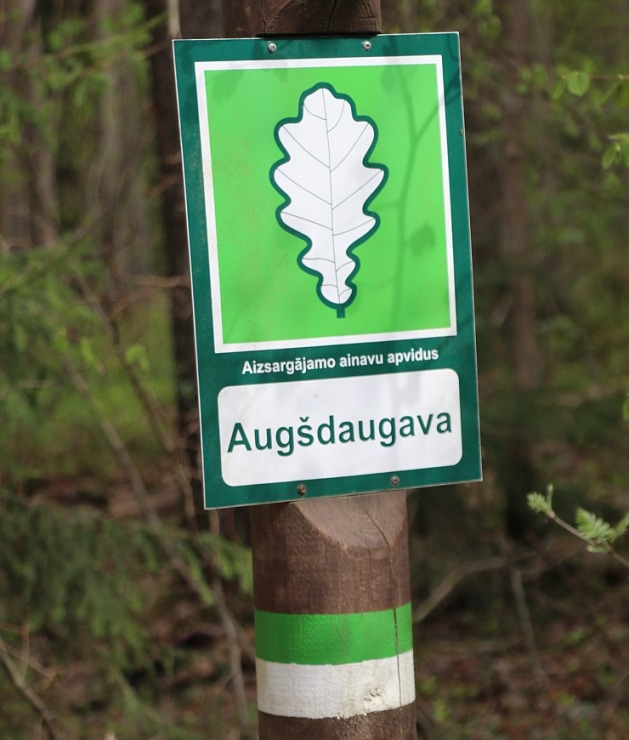Travelnews.lv iziet 20 km pārgājienu Krāslavas abos Daugavas krastos 336138