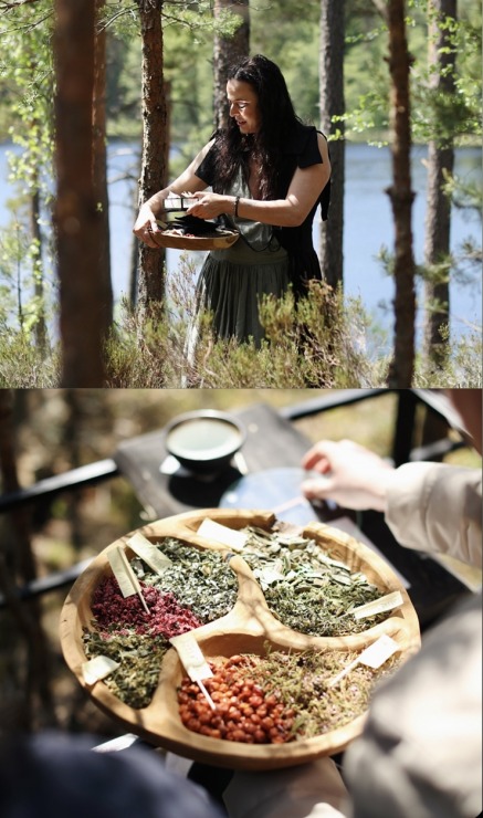 Nepieradinātās Naktsmītnes atklāj projekta “DABAS GALERIJA” jauno sezonu ar īpašu programmu grupām. Foto: Jānis Vīksna, Alens Opoļskis Nepieradinātās Naktsmītnes atklāj projekta “DABAS GALERIJA” jauno sezonu ar īpašu programmu grupām. Foto: Jānis Vīksna, Alens Opoļskis 337466
