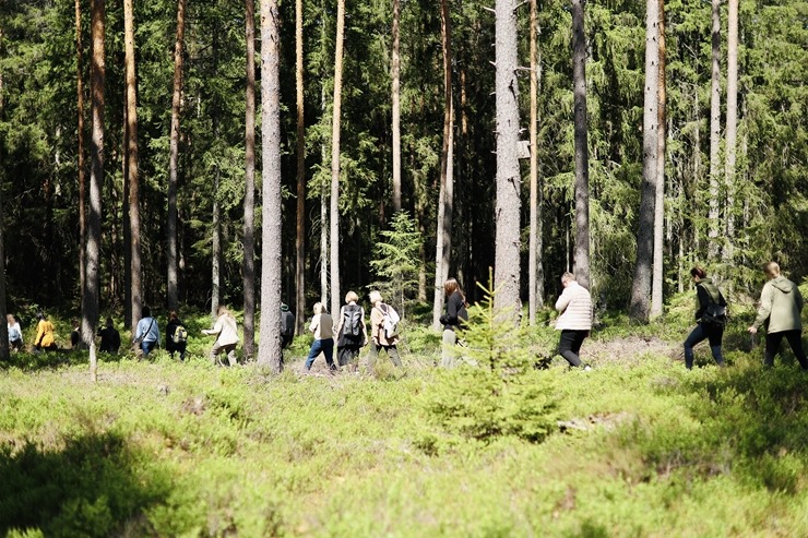 Nepieradinātās Naktsmītnes atklāj projekta “DABAS GALERIJA” jauno sezonu ar īpašu programmu grupām. Foto: Jānis Vīksna, Alens Opoļskis Nepieradinātās Naktsmītnes atklāj projekta “DABAS GALERIJA” jauno sezonu ar īpašu programmu grupām. Foto: Jānis Vīksna, Alens Opoļskis 337478