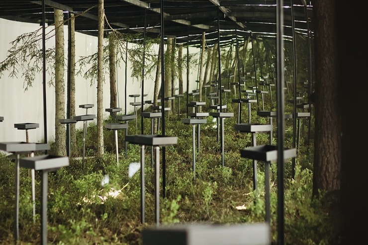 Nepieradinātās Naktsmītnes atklāj projekta “DABAS GALERIJA” jauno sezonu ar īpašu programmu grupām. Foto: Jānis Vīksna, Alens Opoļskis Nepieradinātās Naktsmītnes atklāj projekta “DABAS GALERIJA” jauno sezonu ar īpašu programmu grupām. Foto: Jānis Vīksna, Alens Opoļskis 337495