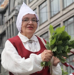 Foto mirkļi no dziesmu un deju svētku dalībnieku gājiena Rīgā - «Novadu dižošanās» 24