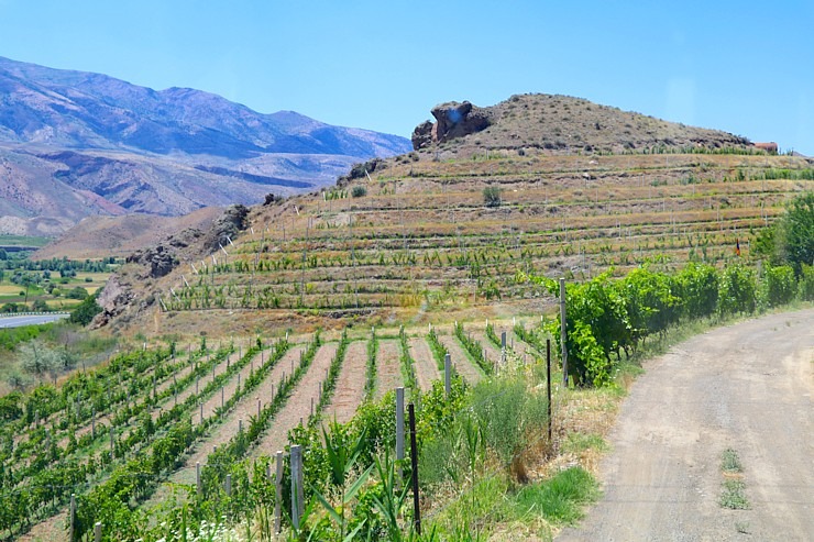 Travelnews.lv izbaudām labākās pusdienas Armēnijas ceļojumā - restorāns «Old Bridge Winery». Sadarbībā ar airBaltic Travelnews.lv izbaudām labākās pusdienas Armēnijas ceļojumā - restorāns «Old Bridge Winery». Sadarbībā ar airBaltic 341305