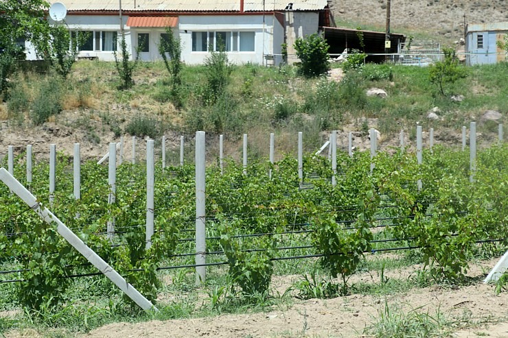 Travelnews.lv izbaudām labākās pusdienas Armēnijas ceļojumā - restorāns «Old Bridge Winery». Sadarbībā ar airBaltic Travelnews.lv izbaudām labākās pusdienas Armēnijas ceļojumā - restorāns «Old Bridge Winery». Sadarbībā ar airBaltic 341308