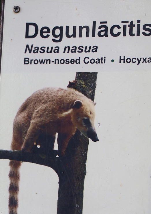 Rīgas Nacionālais zooloģiskais dārzs vienmēr ir laba izvēle izzinošai aktivitātei 343509