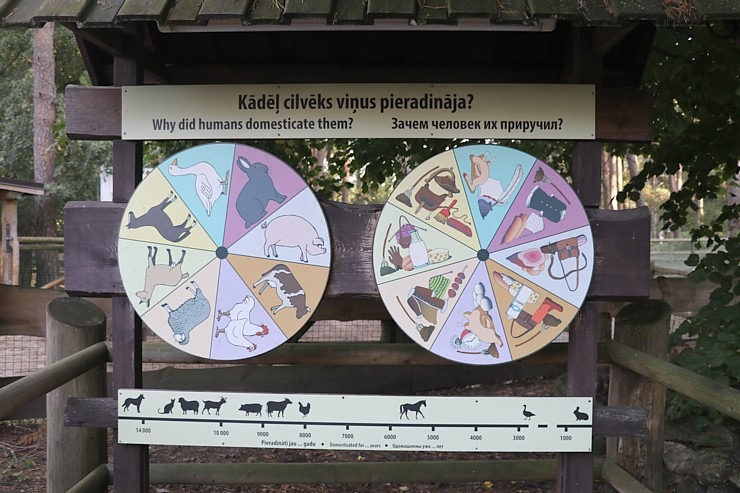 Travelnews.lv iesaka apmeklēt Rīgas Nacionālo zooloģisko dārzu izziņai un pastaigai 343590