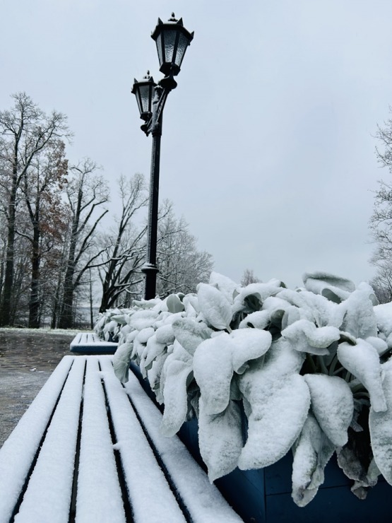 Vidzemes Alūksnē ir sasnidzis sniegs. Foto: Visitaluksne.lv 346542