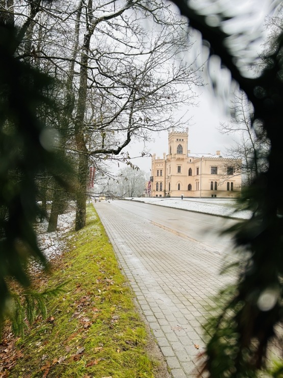 Vidzemes Alūksnē ir sasnidzis sniegs. Foto: Visitaluksne.lv 346546