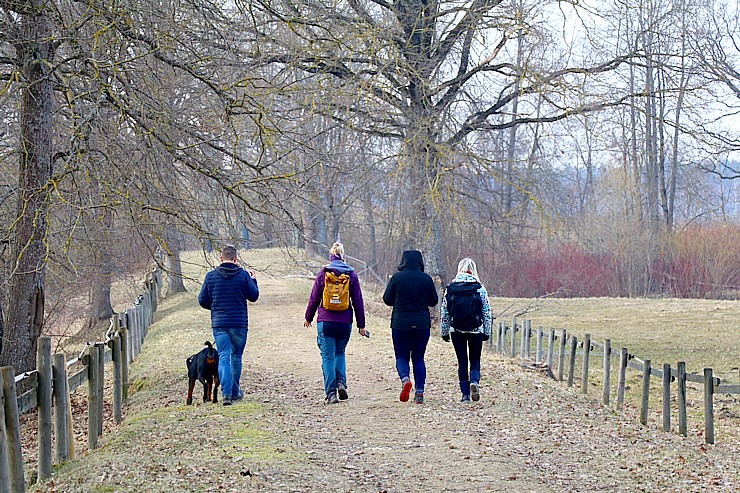 Travelnews.lv dodas 20 km pārgājienā Ozolnieku apkaimē Jelgavas novadā 351078