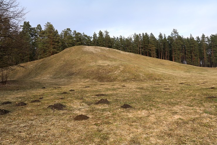 Travelnews.lv dodas 20 km pārgājienā Ozolnieku apkaimē Jelgavas novadā 351084