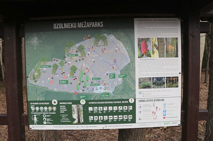 Travelnews.lv dodas 20 km pārgājienā Ozolnieku apkaimē Jelgavas novadā 351086