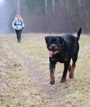 Travelnews.lv dodas 20 km pārgājienā Ozolnieku apkaimē Jelgavas novadā 3