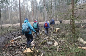 Travelnews.lv dodas 20 km pārgājienā Ozolnieku apkaimē Jelgavas novadā 9