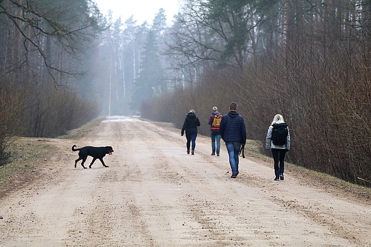 Ozolnieku apkaimē Travelnews.lv dodas 20 km pavasara pārgājienā 351155