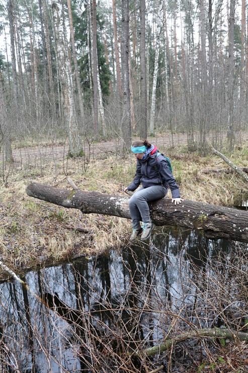 Ozolnieku apkaimē Travelnews.lv dodas 20 km pavasara pārgājienā 351159