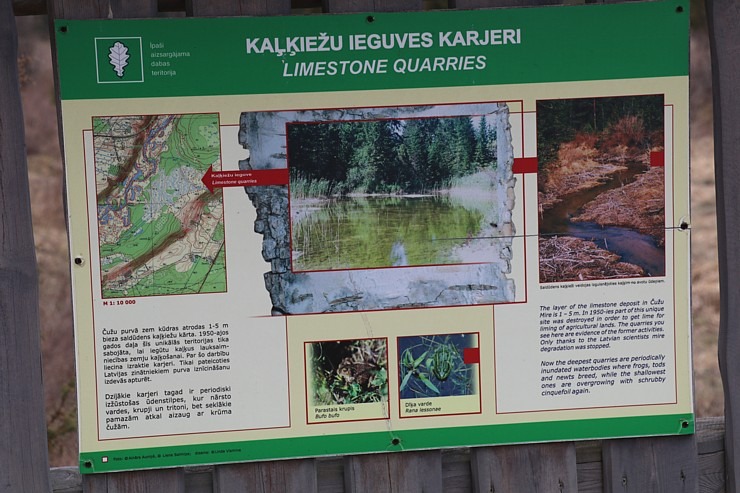 25 km pārgājiens Kandavas apkārtnē ļauj iepazīt pilsētu, Čužu purvu un Abavas senleju 352126