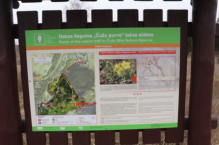 25 km pārgājiens Kandavas apkārtnē ļauj iepazīt pilsētu, Čužu purvu un Abavas senleju 352134