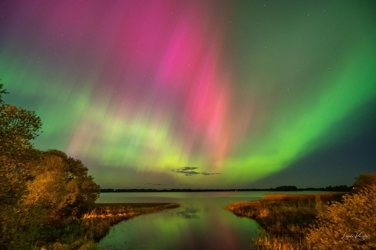 Burvīgo ziemeļblāzmu Ludzā piefiksēja fotogrāfe Ligita Karvele 353598