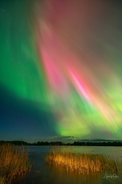 Burvīgo ziemeļblāzmu Ludzā piefiksēja fotogrāfe Ligita Karvele 353610