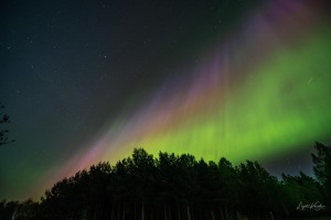 Burvīgo ziemeļblāzmu Ludzā piefiksēja fotogrāfe Ligita Karvele 10