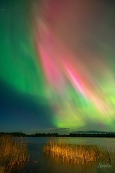 Burvīgo ziemeļblāzmu Ludzā piefiksēja fotogrāfe Ligita Karvele 13