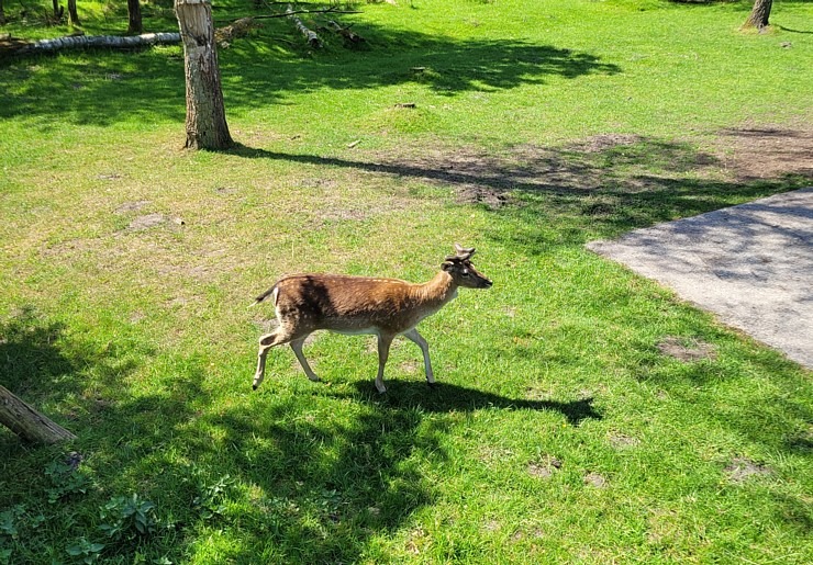 Travelnews.lv iepazīst Hamburgas pilsētas un lauku vides mijiedarbību 354181