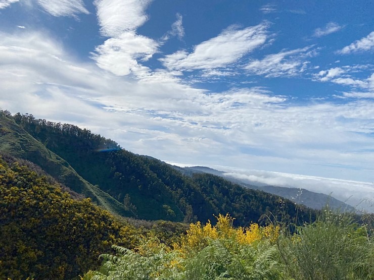 Baltijas ceļojumu konsultanti iepazīst Portugāles salu - Madeira sadarbībā ar «Madeira Selection Hotels». Foto: Agnese Zāle 355124