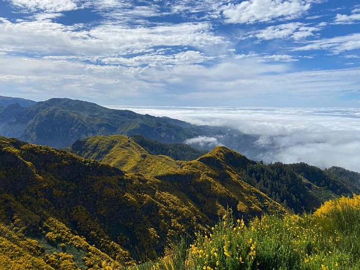 Baltijas ceļojumu konsultanti iepazīst Portugāles salu - Madeira sadarbībā ar «Madeira Selection Hotels». Foto: Agnese Zāle 355112