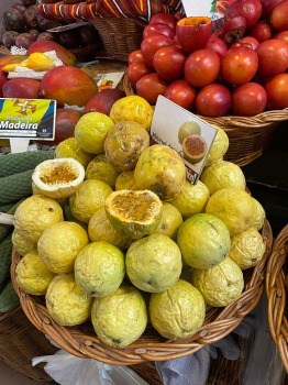 Baltijas ceļojumu konsultanti iepazīst Portugāles salu - Madeira sadarbībā ar «Madeira Selection Hotels». Foto: Agnese Zāle 18