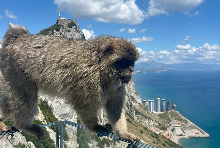 Travelnews.lv iepazīst Lielbritānijas aizjūras teritoriju - Gibraltārs 355170