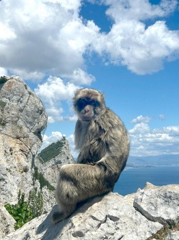 Travelnews.lv iepazīst Lielbritānijas aizjūras teritoriju - Gibraltārs 10