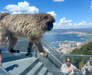 Travelnews.lv iepazīst Lielbritānijas aizjūras teritoriju - Gibraltārs 12