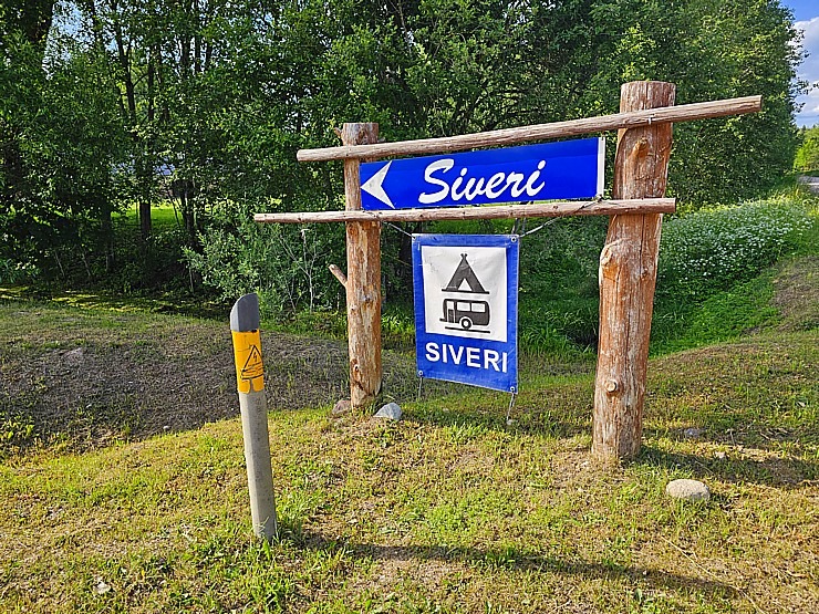 Jāņu zāles – ne vien skaistas galvas rotas, bet arī vērtīgi ārstnieciski augi! 355986