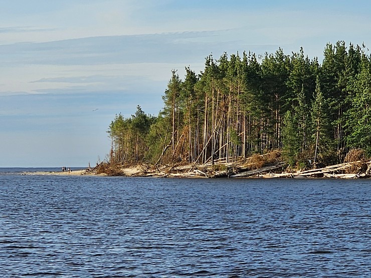 Latvijas tūrisma firma «Nikos Travel» uz peldošas terases Lielupē atzīmē 17 gadu jubileju 356311