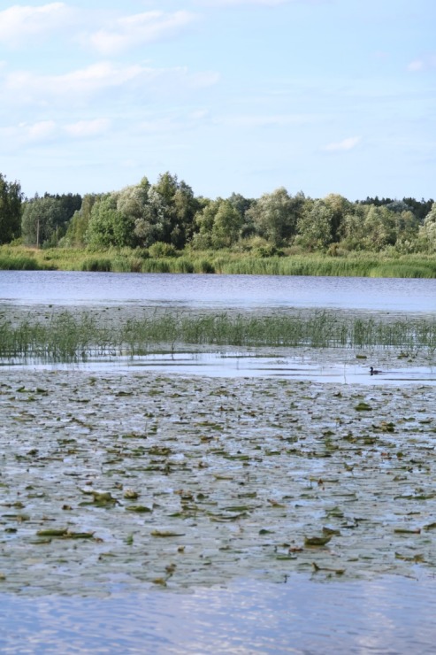 17 gadu jubileju svin Latvijas tūrisma firma «Nikos Travel» uz peldošas terases Lielupē. Foto: Kristiāns Gedus 17 gadu jubileju svin Latvijas tūrisma firma «Nikos Travel» uz peldošas terases Lielupē. Foto: Kristiāns Gedus 356339