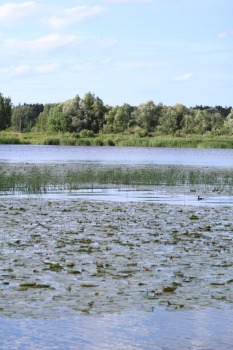 17 gadu jubileju svin Latvijas tūrisma firma «Nikos Travel» uz peldošas terases Lielupē. Foto: Kristiāns Gedus 3