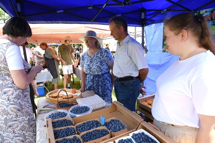 Sklandraušu festivāls Dundagā gaida visus Latvijas tradicionālā mantojuma cienītājus. Foto: Visvaldis Biezbārdis Sklandraušu festivāls Dundagā gaida visus Latvijas tradicionālā mantojuma cienītājus. Foto: Visvaldis Biezbārdis 357170