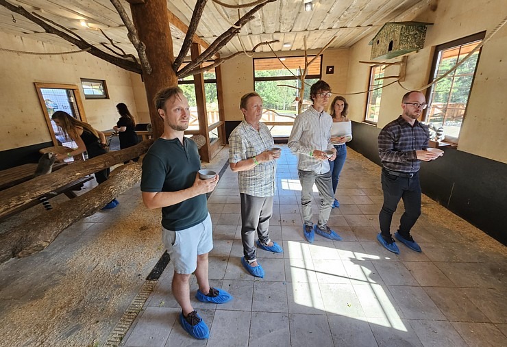 «Rakšu» brīvdabas ZOO tagad piedāvā lemurus un ķengurus 358543