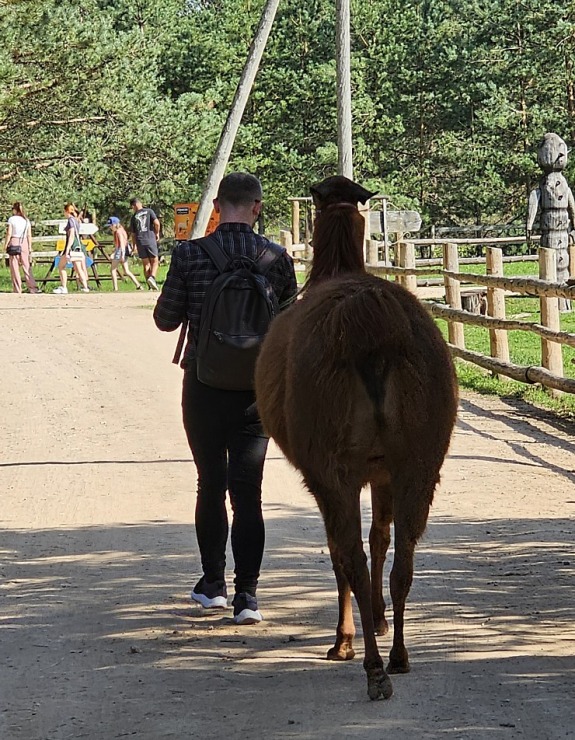 Travelnews.lv apmeklē «Rakšu» brīvdabas ZOO Cēsu novadā 358579