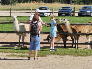 Travelnews.lv apmeklē «Rakšu» brīvdabas ZOO Cēsu novadā 13